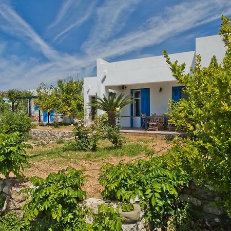 Pleiades Apartments Lefkos  Exteriér fotografie